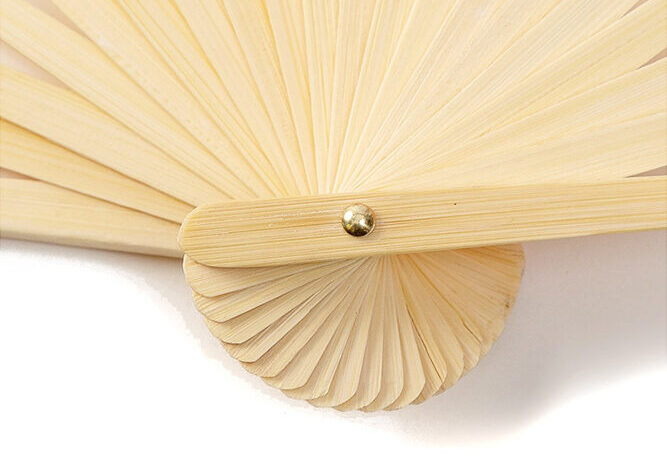 Fan Bone