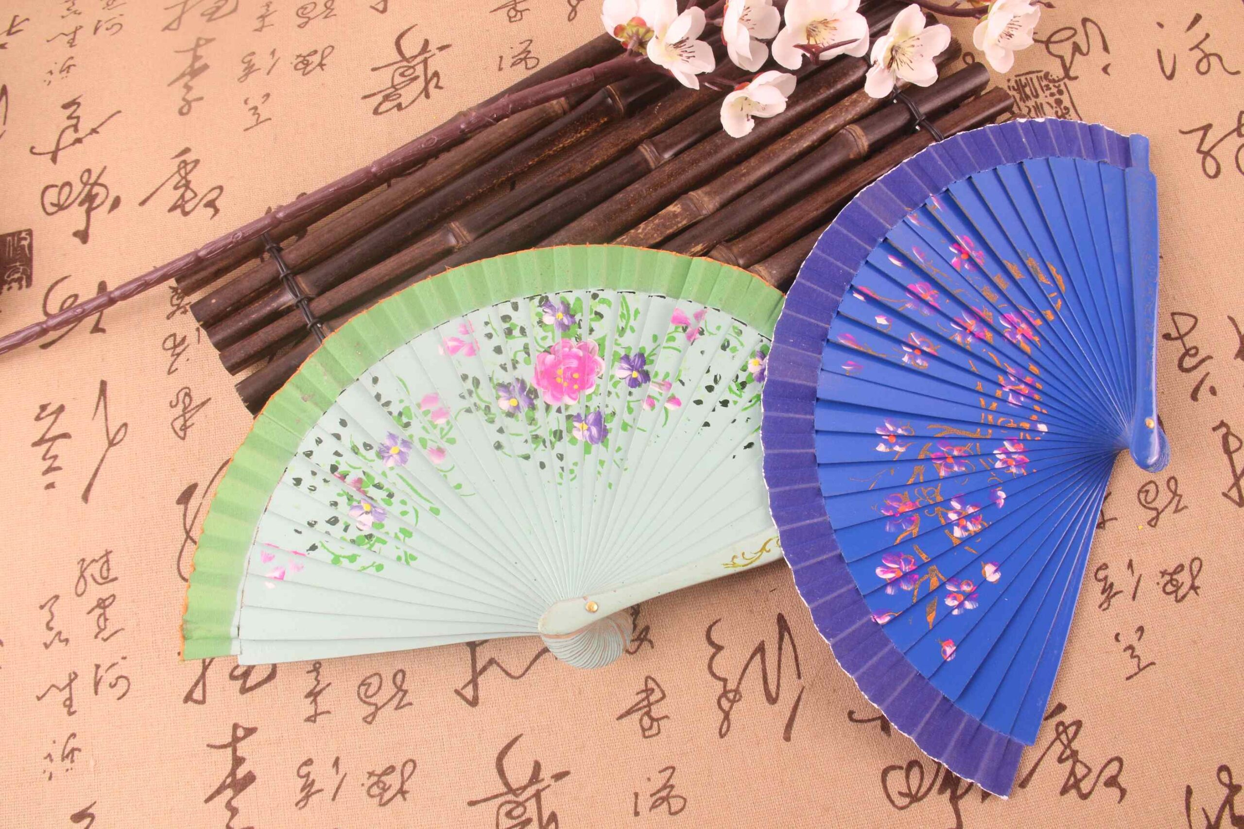 Chinese Folding Fans (1)